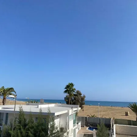 Oasis Sol *